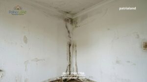 Sudut dinding dalam rumah yang rembes dan dipenuhi jamur hitam akibat dinding luar hebel tidak diplester.
