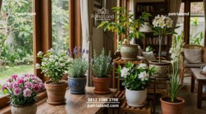 Inspirasi tanaman hias pengharum ruangan yang membuat rumah wangi alami tanpa bahan kimia