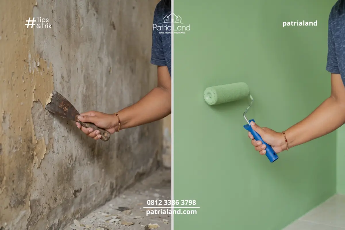 Mau Cat Rumah Sendiri Tapi Takut Belang? Simak 6 Langkah Pro Ini!